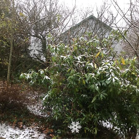 Garden Cottage Guest House Aberystwyth Dış mekan fotoğraf